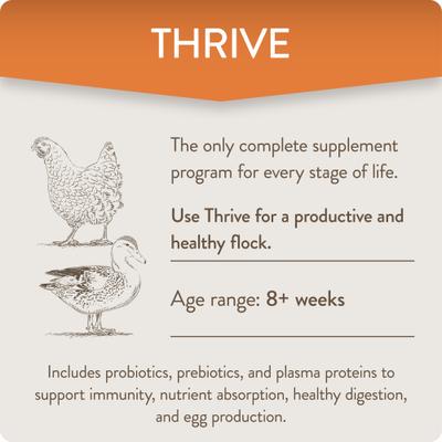 Show full view: FlockLeader Thrive Poultry Supplement, 8-oz bag slide 4 of 9