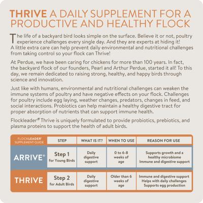 Show full view: FlockLeader Thrive Poultry Supplement, 8-oz bag slide 3 of 9