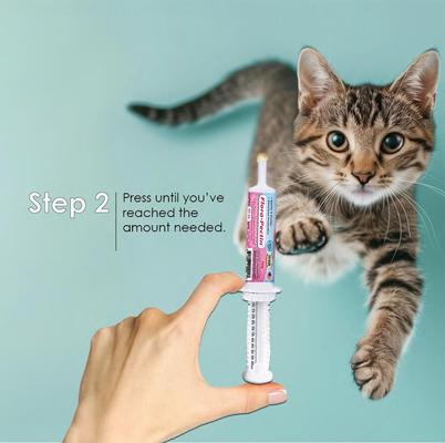 Show full view: Flora-Pectin Chicken Flavored Oral Gel Digestive Aid for Dogs & Cats, 15-cc slide 9 of 9