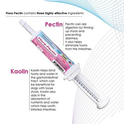 Show full view: Flora-Pectin Chicken Flavored Oral Gel Digestive Aid for Dogs & Cats, 15-cc slide 5 of 9