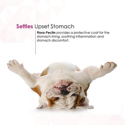 Show full view: Flora-Pectin Chicken Flavored Oral Gel Digestive Aid for Dogs & Cats, 15-cc slide 7 of 9