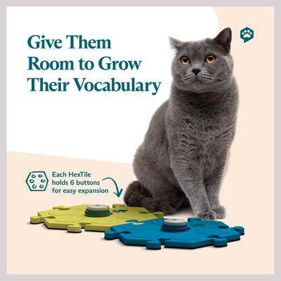 FLUENTPET Tester Kit Learning Cat & Dog Toy, Assorted - Chewy.com