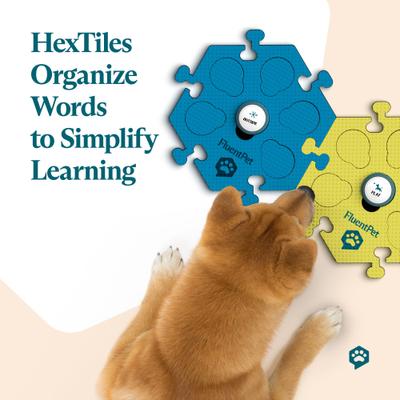 Show full view: FluentPet Tester Kit Learning Cat & Dog Toy, Assorted slide 5 of 9