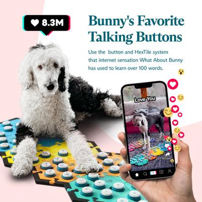 Show full view: FluentPet Tester Kit Learning Cat & Dog Toy, Assorted slide 7 of 9