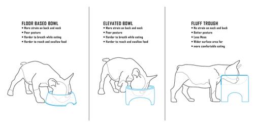 Show full view: Fluff Trough Elevated Dog & Cat Feeder, Black, Standard slide 5 of 8