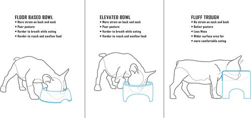 Show full view: Fluff Trough Elevated Dog & Cat Feeder, Teal, Standard slide 5 of 8