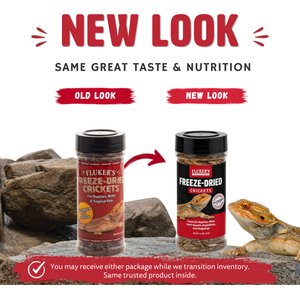 Fluker's Freeze-Dried Crickets Reptile Treats, 1.2-oz jar