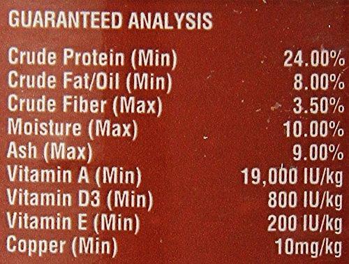 Show full view: Fluker's Adult Bearded Dragon Diet Reptile Food, 3.4-oz jar slide 5 of 6