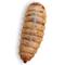 Show in main carousel: Fluker's Black Soldier Fly Larvae Reptile Food, Large, 250 count slide 1 of 8