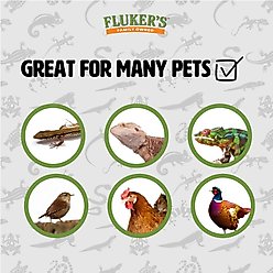 Fluker's Black Soldier Fly Larvae Reptile Food, Large, 500 count slide 2 of 8