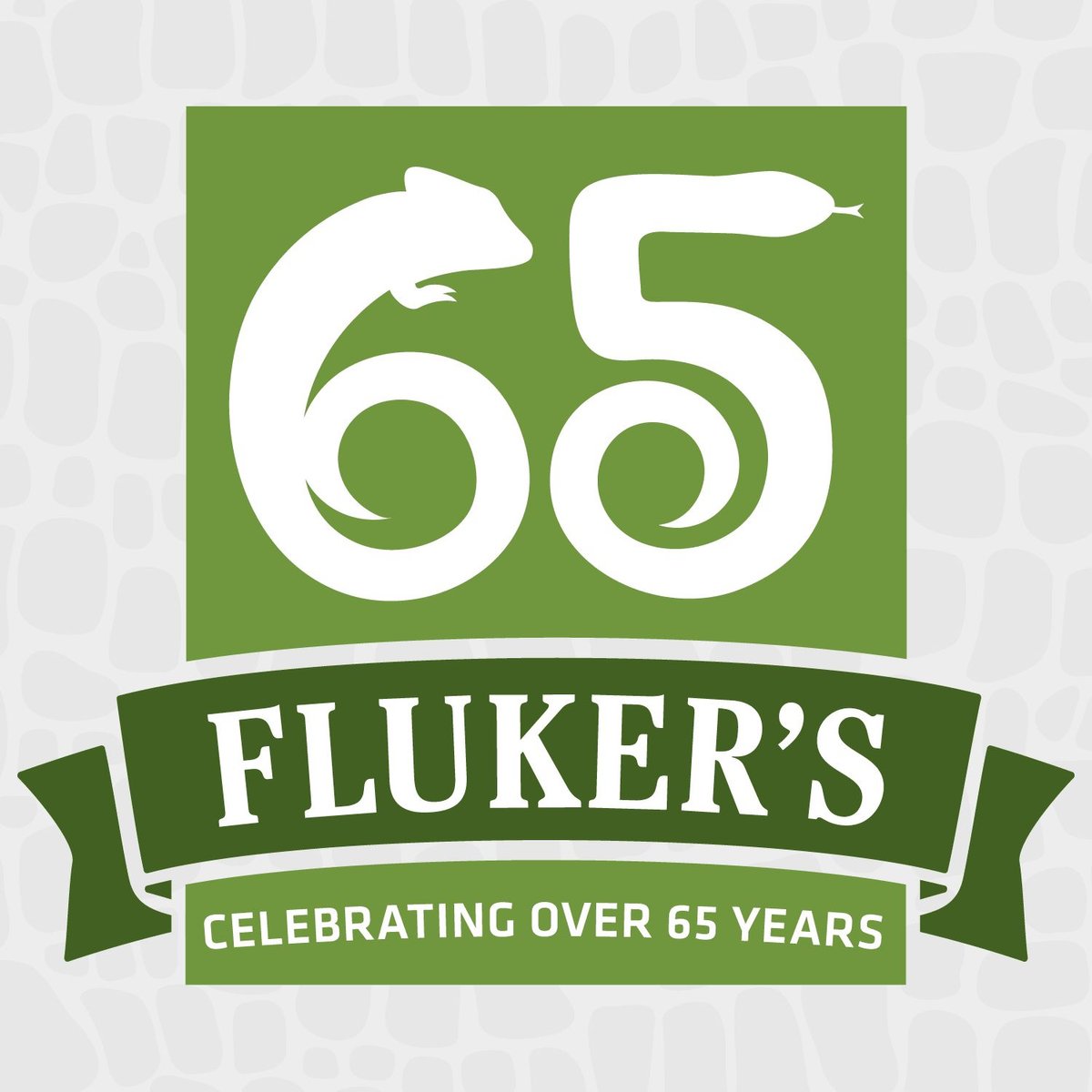 Fluker's Black Soldier Fly Larvae Reptile Food