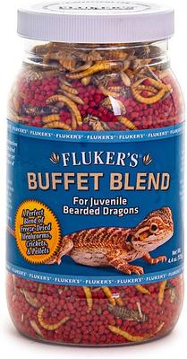 Show full view: Fluker's Buffet Blend Juvenile Bearded Dragon Food, 8.5-oz jar slide 2 of 5