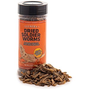 Fluker's Black Soldier Fly Larvae Reptile Food