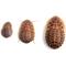Show in main carousel: Fluker's Dubia Roaches Live Feed Reptile Food, Medium, 100 count slide 1 of 9