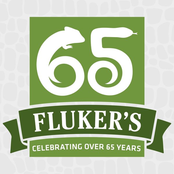 Fluker's Dubia Roaches Live Feed Reptile Food