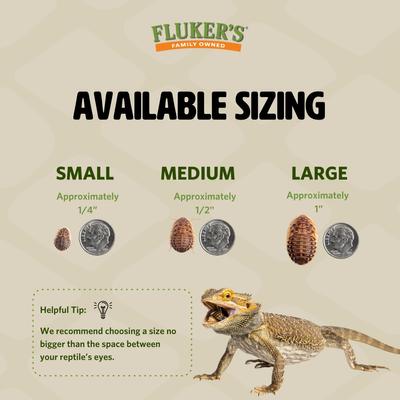 Show full view: Fluker's Dubia Roaches Live Feed Reptile Food, Small, 100 count slide 4 of 9