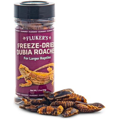 Fluker's Fluker's Freeze-Dried Dubia Roaches Reptile Food, 1.3-oz jar