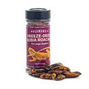 Fluker's Freeze-Dried Dubia Roaches Reptile Food, 1.3-oz bag