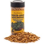 Best Foods for Bearded Dragons