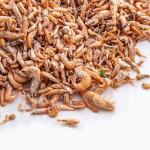 Fluker's Freeze-Dried River Shrimp Reptile Treats, 1-lb bag