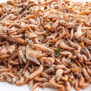 Fluker's Freeze-Dried River Shrimp Reptile Treats, 1-lb bag