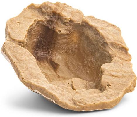 Show full view: Fluker's Hermit Crab Lagoon, Tan slide 3 of 5