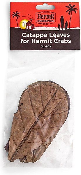 Fluker's Hermit Headquarters Catappa Leaves Reptile, 5 count