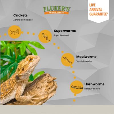 Show full view: Fluker's Hornworms Reptile Food, 25 count slide 6 of 8