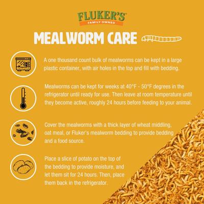 Show full view: Fluker's Large Live Mealworms Reptile Food, 1000 count slide 5 of 9
