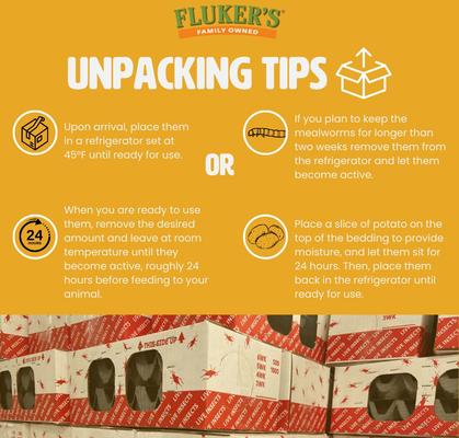 Show full view: Fluker's Large Live Mealworms Reptile Food, 250 count slide 4 of 9