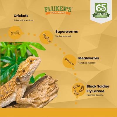 Show full view: Fluker's Large Live Mealworms Reptile Food, 500 count slide 7 of 9