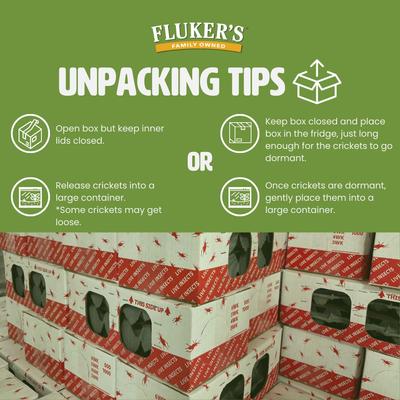 Show full view: Fluker's Live Crickets Reptile Food, Small, 100 count slide 4 of 9