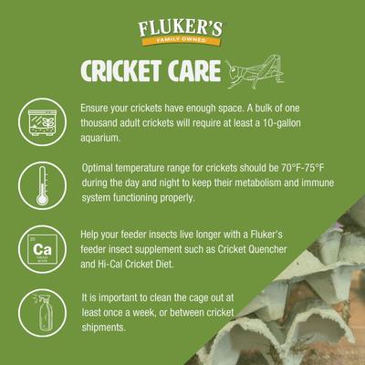 Show full view: Fluker's Live Crickets Reptile Food, Small, 100 count slide 5 of 9
