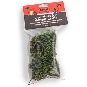 Fluker's Live Moss for Hermit Crabs, .5-oz bag