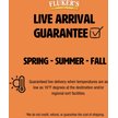 Show in main carousel: Fluker's Live Superworms Reptile Food, Large, 100 count slide 6 of 10