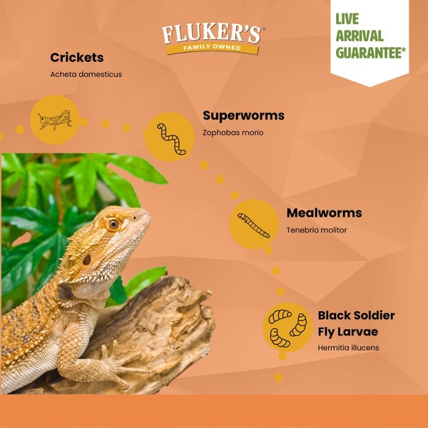 Fluker's Live Superworms Reptile Food