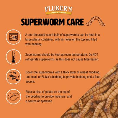 Show full view: Fluker's Live Superworms Reptile Food, Medium, 1000 count slide 5 of 10