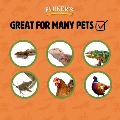 Show full view: Fluker's Live Superworms Reptile Food, Medium, 1000 count slide 3 of 10