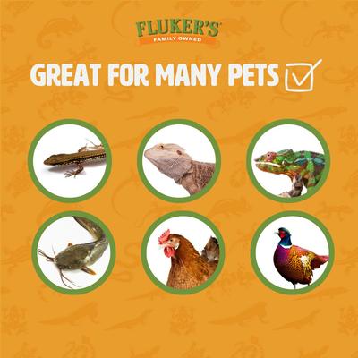 Show full view: Fluker's Medium Live Mealworms Reptile Food, 500 count slide 3 of 10