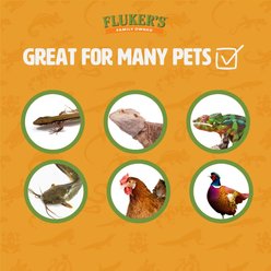 Fluker's Medium Live Mealworms Reptile Food, 5000 count slide 2 of 9