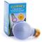 Show in main carousel: Fluker's Neodymium Daylight Reptile Bulb, 100-watt slide 1 of 5