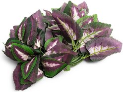 Fluker's Repta-Vines Reptile Terrarium Décor, 6-ft, Purple Coleus slide 2 of 2