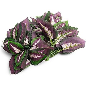 Fluker's Repta-Vines Reptile Terrarium Décor, 6-ft, Purple Coleus