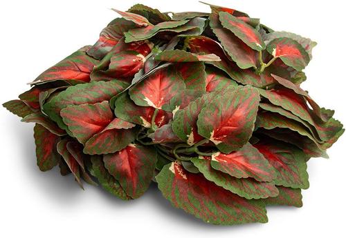 Show full view: Fluker's Repta-Vines Reptile Terrarium Décor, 6-ft, Red Coleus slide 2 of 3