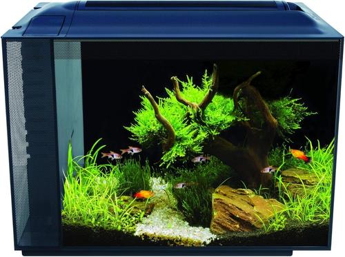 Show full view: Fluval Aquarium Kit, 16-gal slide 7 of 10