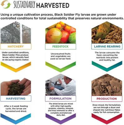 Show full view: Fluval Bug Bites Color Enhancer Tropical Freshwater Formula Flakes Fish Food, 3.17-oz slide 5 of 8