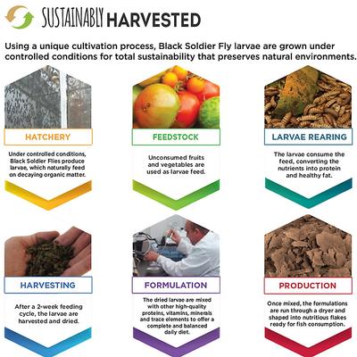 Show full view: Fluval Bug Bites Tropical Freshwater Formula Flakes Fish Food, 1.58-oz slide 8 of 9