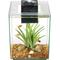 Show in main carousel: Fluval Chi Aquarium Kit, 5-gal slide 1 of 10