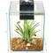 Show in main carousel: Fluval Chi Aquarium Kit, 5-gal slide 3 of 10