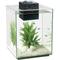 Show in main carousel: Fluval Chi Aquarium Kit, 5-gal slide 4 of 10